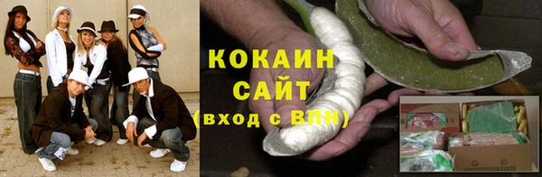 тгк Алексин