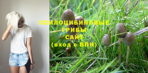 сатива Алексеевка