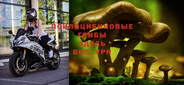 тгк Алексин