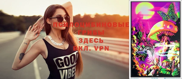 гидропоника Алзамай