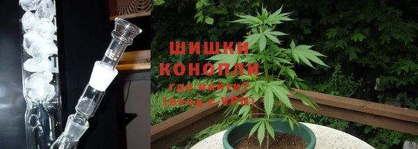 гидропоника Алзамай